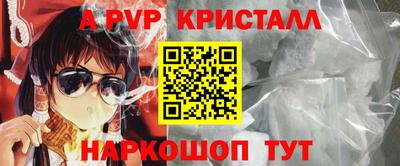 гашик Будённовск