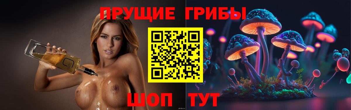 Галлюциногенные грибы Psilocybine cubensis  Вход с VPN  Семилуки 